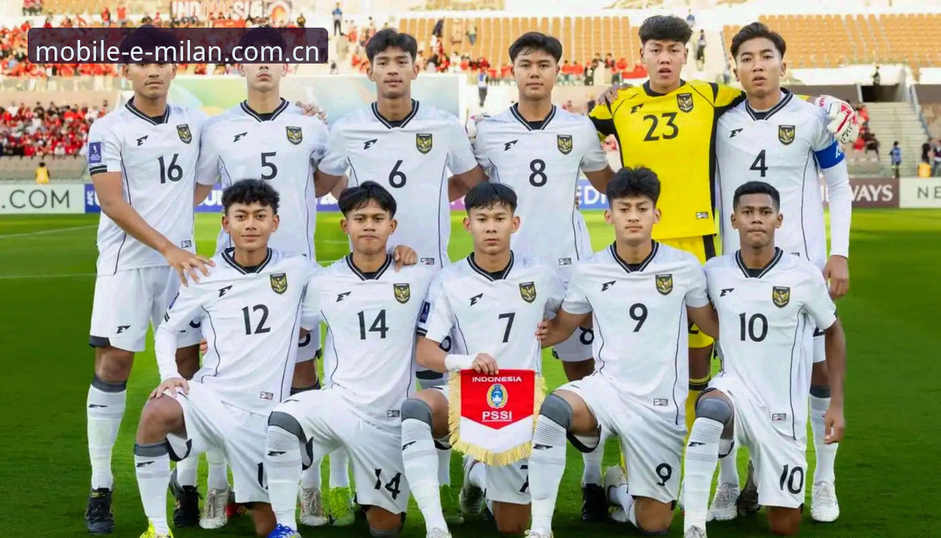 U17世界杯抽签结果出炉，米兰体育官网观赛实用指南